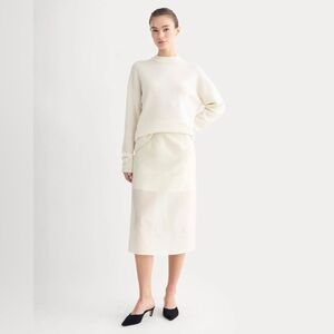 NWT EVERLANE ORGANZA MIDI SKIRT